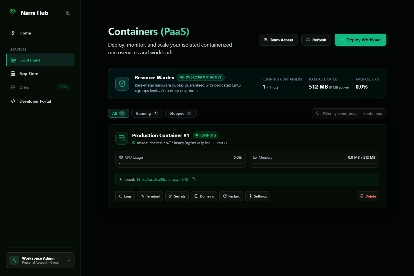 Narra Hub live container workload management